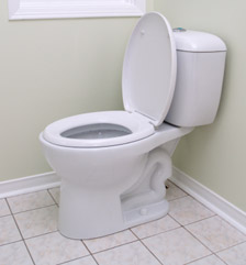 Green Plumber - Low Flow Toilet